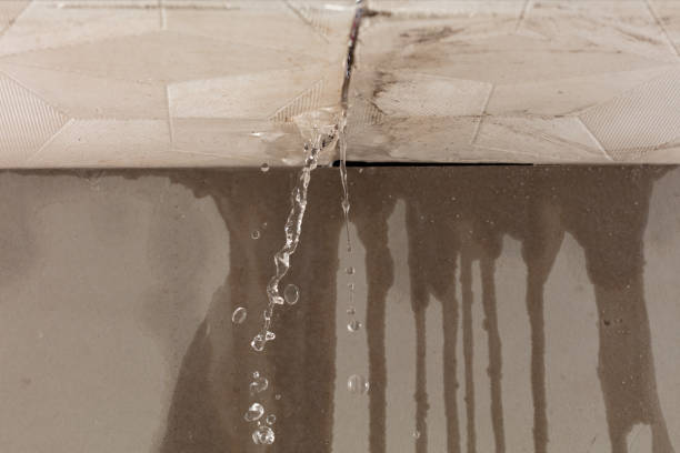 Professional Structural Drying technician working in Canaan, NH